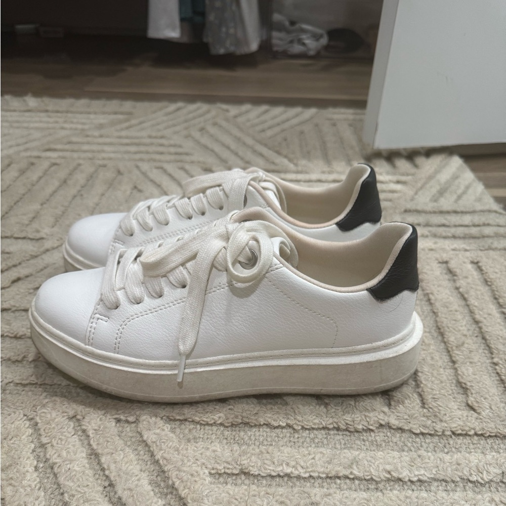 Steve Madden sneakers